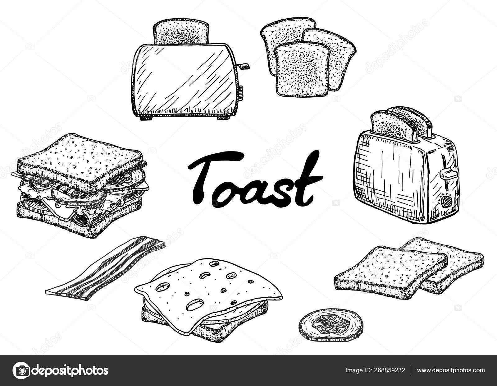 Toast Sketch Set Toaster Different Types Toast Toast Butter Knife Stock Vector Image By C Luisvv Toast Sketch Set Toaster Different Types Toast Toast Butter Knife Stock Vector Image By C Luisvv