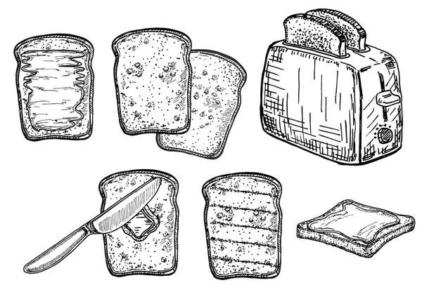 Torradas Pão Torradas Com Manteiga Pasta Amendoim Conjunto Esboço Torradeira — Vetor de Stock