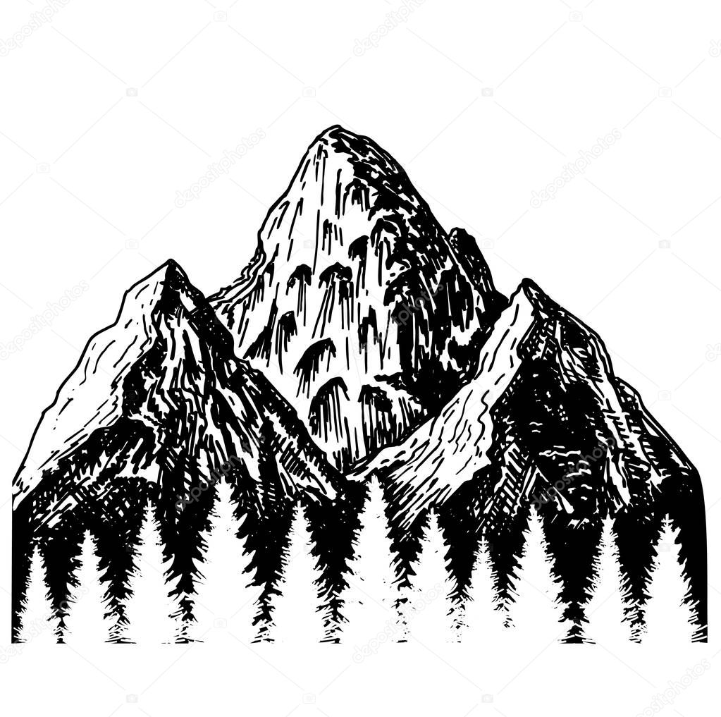 Vettoriale stockMontagne Con Contorni Della Foresta Abete Illustrazione  Vettoriale Disegnata Mano di ©luisvv #268859062, image size:1023x1017