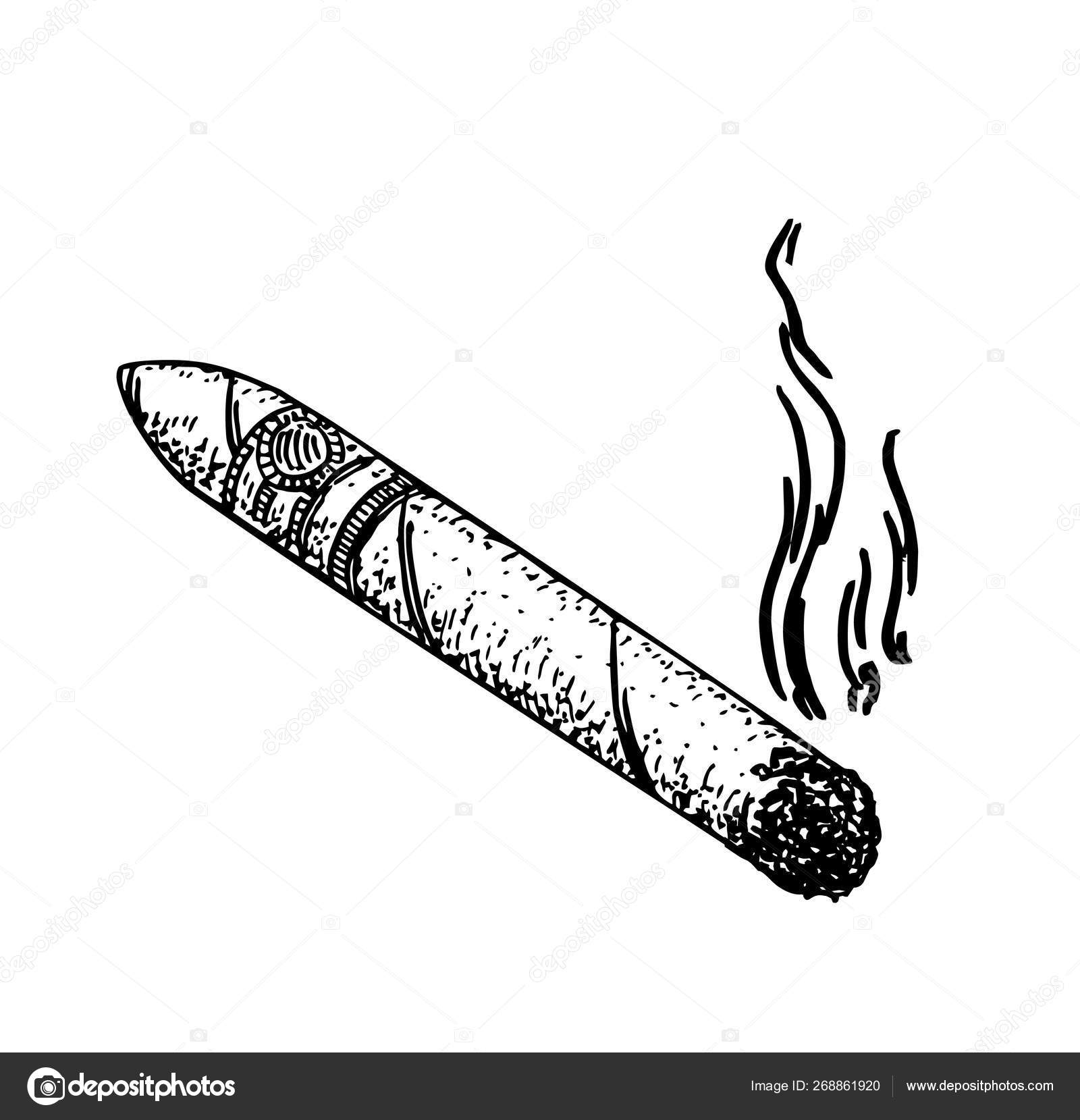 Smoking Cigar Vector Illustration Sketch Style Stock Vector Image by  ©luisvv #268861920