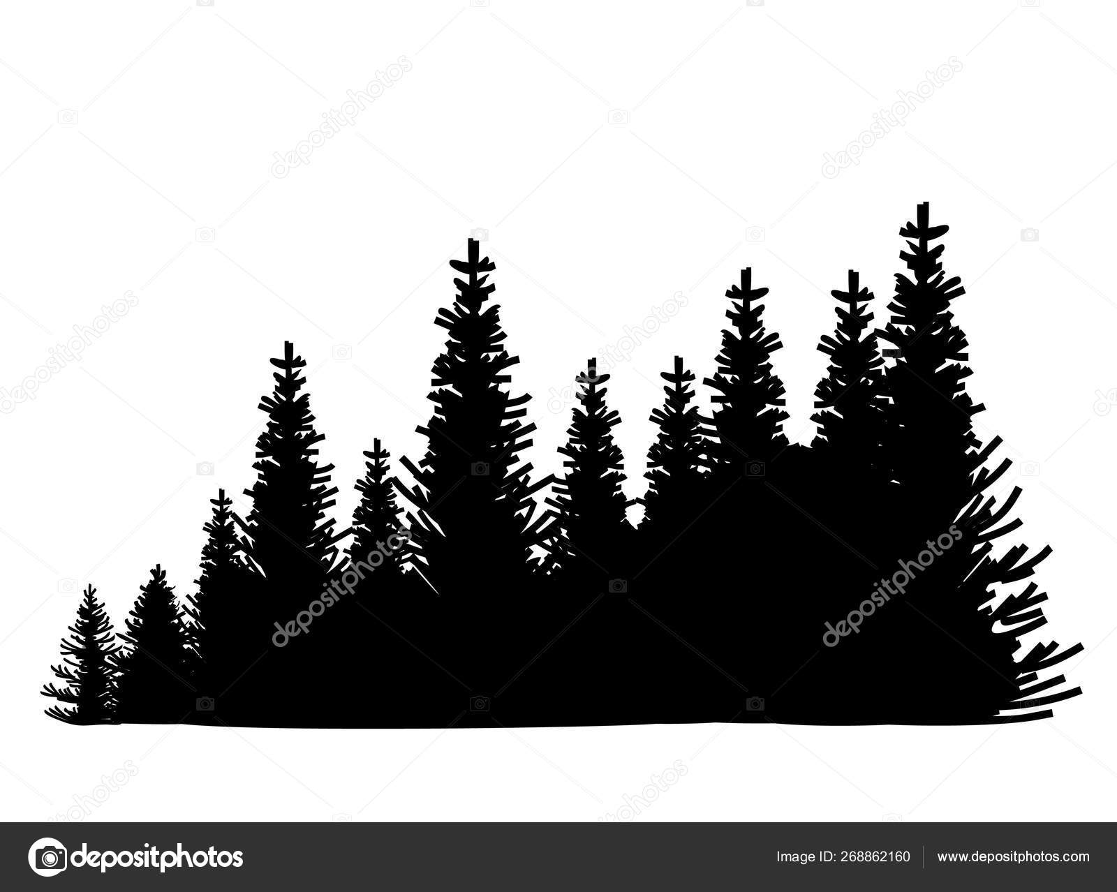 Silhouette Pine Trees Vector Set Coniferous Trees Silhouettes Vector Image By C Luisvv Vector Stock