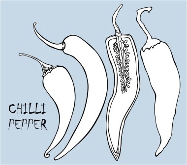 El çizilmiş kroki tarzı biber seti. Vintage eko gıda vektör illüstrasyon. Olgun ve dilimlenmiş biber. Izole