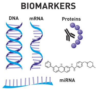 Nanotıp Seti. Nanobilim, nanoteknoloji. Biyobelirteçler. DNA, mrna, mirna, Proteinler imge. Yapısal kimyasal formül ve molekül modeli. Bilim için tasarım. Vektör çizimi