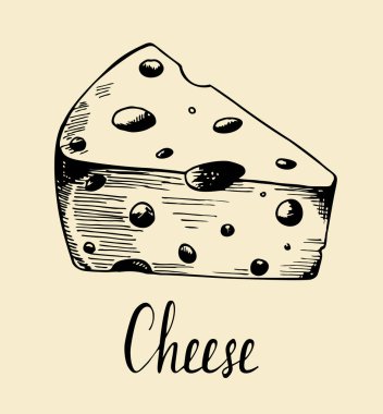 Elle çizilmiş eskiz parçası peynir. Vektör siyah ve beyaz vintage illüstrasyon. Beyaz backgroun üzerinde yalıtılmış nesne