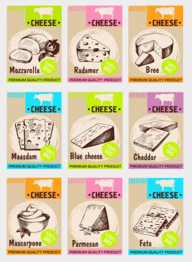 Vektör el çizilmiş peynir posterleri ayarlayın. Çizim kartları. Süt ürünleri peynir biyo doğal gıda farklı türde dikey afiş. Süt vintage çizimler. 