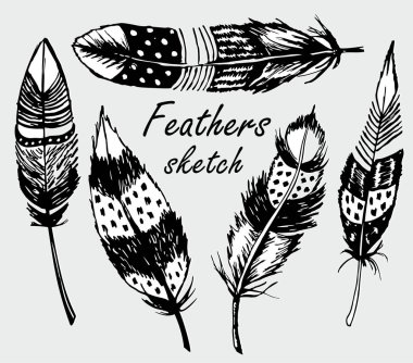 Detaylı tüyler. Boho Illustration. Kızılderili tarzında bir tüy seti. Boho tasarım, dövme sanatı, yetişkinler için boyama kitabı.