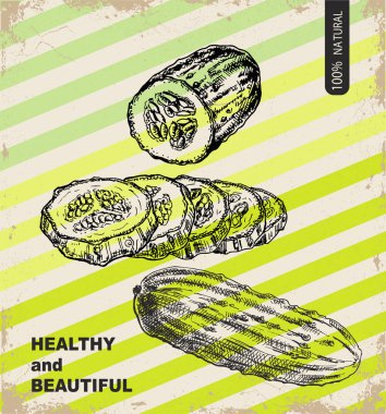 Taze salatalık tasarım şablonu. Botanik sebze. Graveli salatalık. Vektör Illustration