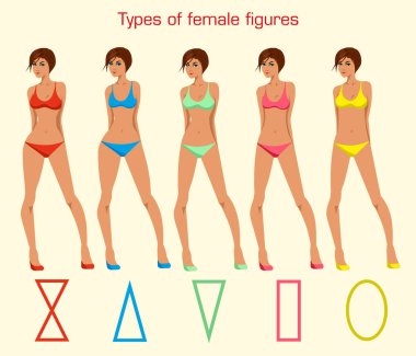 Kadın figürleri vektör Illustration. Farklı vücut tipleri. Moda figürleri 