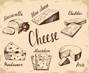 Peynir eski bir arka plan üzerinde vektör skeçler peynir seti çeşitli yapma. Mozzarella, mavi peynir, çedar, Maasdam, brie. Vintage tarzda mürekkep illüstrasyon