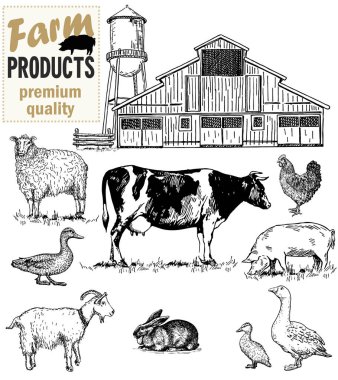 Çiftlik koleksiyonu-el çizilmiş sığır, keçi, domuz, tavuk, tavşan, horoz, Haystack ile ayarlayın. Çiftlik koleksiyonu çizim seti