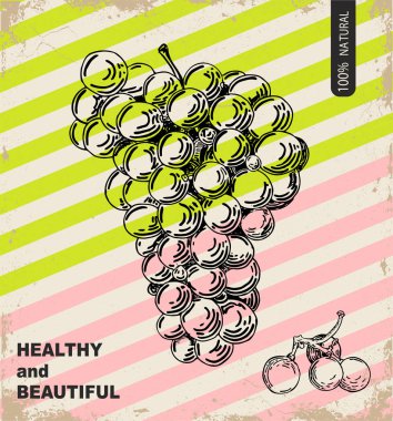 Taze üzüm tasarım şablonu. Botanik meyvesi. Kazınmış üzüm. Vektör Illustration