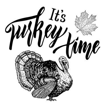 Türkiye Zamanı. Yazı. Türkiye, sonbahar yaprakları.