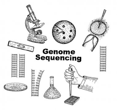 Genom. Genom sıralaması. Genetik Mühendisliği. Gene düzenleme aracı. Nanoteknoloji sağlık ve Biyokimya Laboratuvarı. DNA, genom veya gen evriminin molekül sarmal. Çizim.