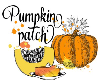 Balkabağı yama. Hat kartı, imza. Balkabağı turtası, geleneksel Amerikan Şükran Günü tatlısı. Taze kabak yama poster tasarımı