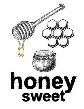 Vector bal seti. Vintage el çizilmiş Illustration. Bal logosu. Kazınmış organik gıda