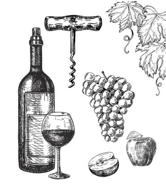 Şarap eskizi. Hazır ol. - Vektör