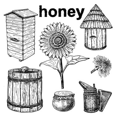 Vektör bal elemanları ayarlayın. El çizilmiş bal, kovan, ayçiçeği, bal pot, arılar için duman. Organik Doğa ürünlerinin mürekkep çizimi