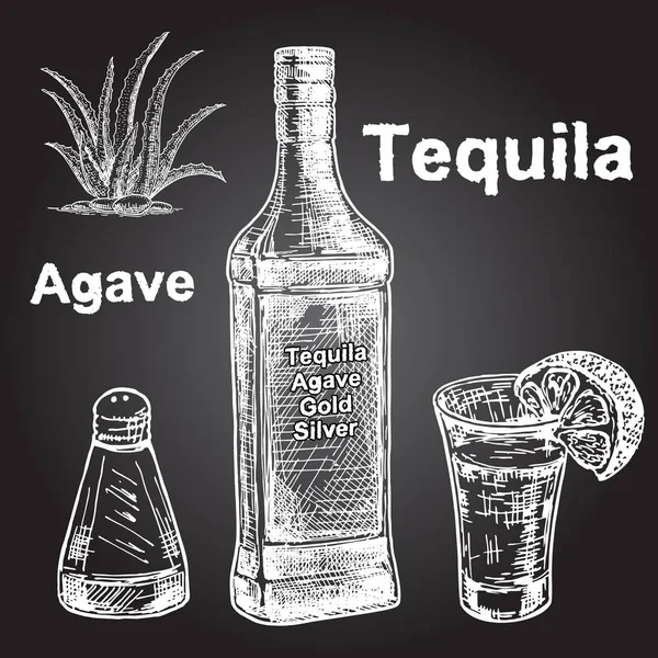 Tequila Cartaz Com Mão Segurando Vidro Garrafa Sal Agave Limão — Vetor de Stock