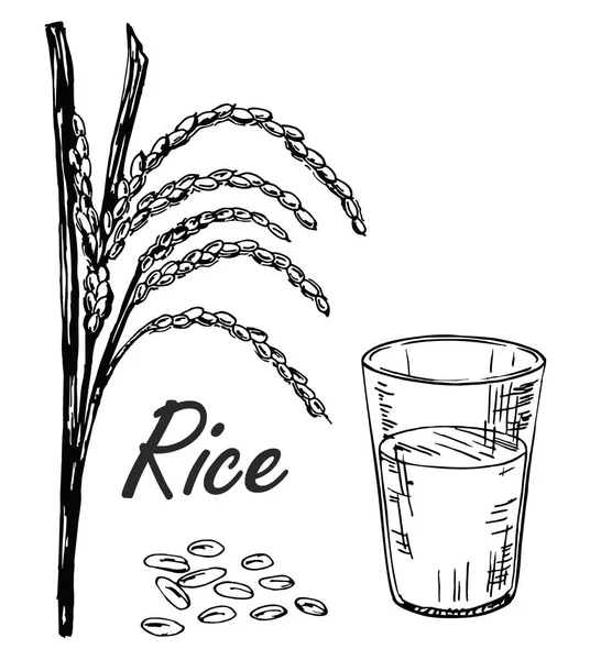 Ilustracja Kieliszek Mleka Ryżowego Roślin Ryżowych Szklanka Mleka Dla Wegan — Wektor stockowy