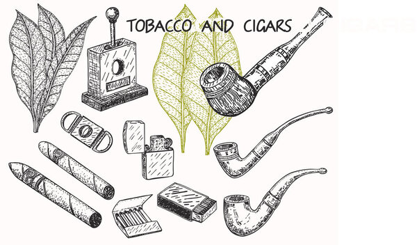 Сигары, трубы, гильотины, листья табака. Курение. Стиль рисования
