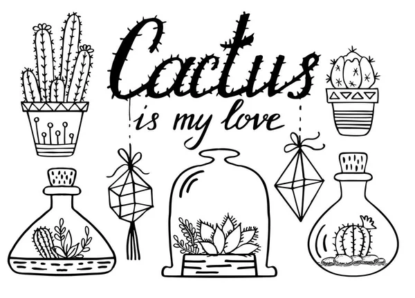 Dibujo Línea Cactus Suculentas Set Garabatos Cactus Las Plantas Pintaron — Vector de stock