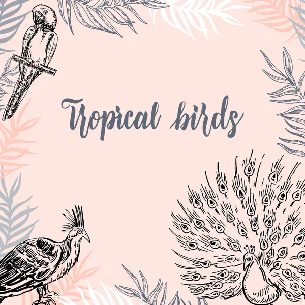 Tropical Birds Background Tropical Animals Birds Parrot Macaw Peacocks Branch — Stock Vector
