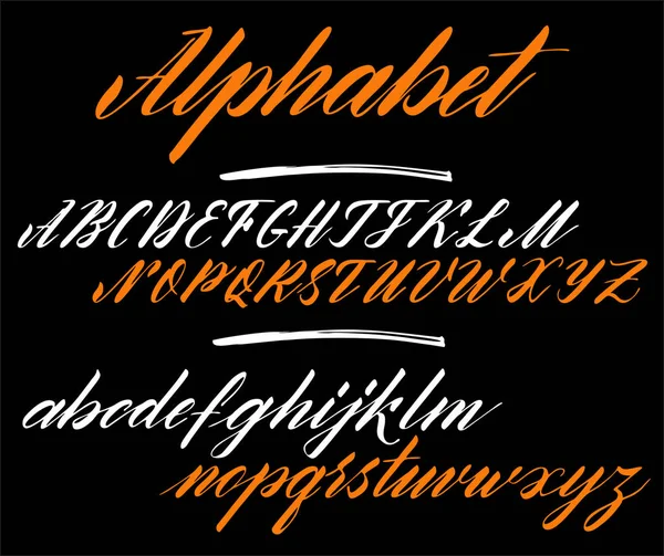 Het Alfabet Kalligrafie Borstel Hand Getekende Borstel Inkt Vector Abc — Stockvector