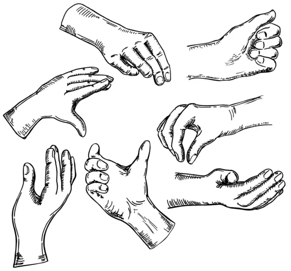 Handgesten Verschiedenen Positionen Skizze Vektorhände Zeigen Und Zeigen Halten Und — Stockvektor