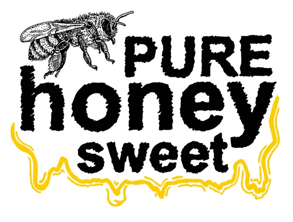 Honey Logo Med Bee Pure Honey Skiss Emblem Label — Stock vektor