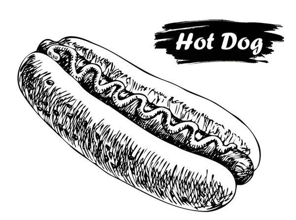 Hot Dog Tuschezeichnung Handgezeichnete Illustration — Stockvektor