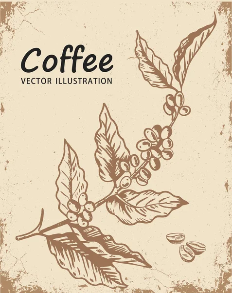 Větev Kávový Strom Prvek Pro Návrhovou Vektorovou Ilustraci Kávu Obrázek — Stockový vektor