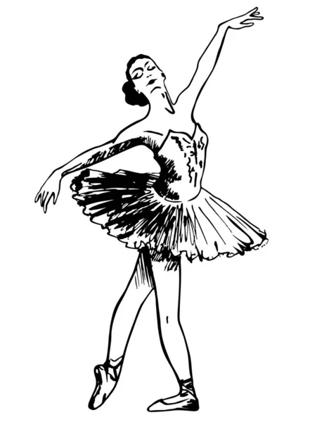 Ballerine Danseuse Ballet Dance Girl Sur Fond Blanc Ballerine Art — Image vectorielle