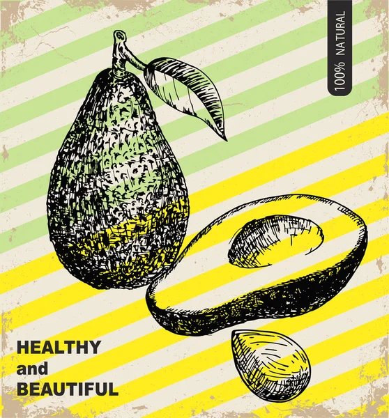 Frische Avocado Design Vorlage Botanische Frucht Avocado Eingraviert Vektorillustration — Stockvektor