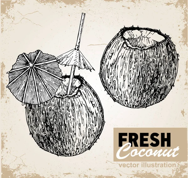 ロゴベクトルの手には ココナッツの飲み物が描画されます 熱帯の夏のフルーツには スタイルのイラストが刻まれています 図面詳細な食品 ラベル ポスター 休暇バナーに最適 — ストックベクタ
