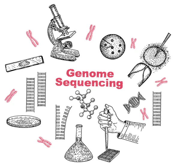 Människans Dna Forskning Teknik Symboler Handdrawn Nano Teknik Koncept Vector — Stock vektor