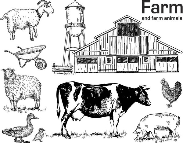 Farm animals vintage set, vector. Farm, rural landscape, agriculture - hand drawn collection 