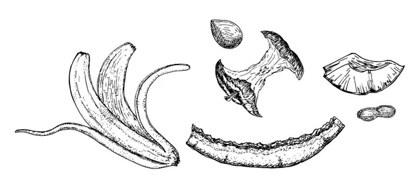 有機廃棄物 食品堆肥コレクションは 白い背景に隔離されています スケッチ バナナとスイカのすねり りんご切りベクトルイラスト — ストックベクタ