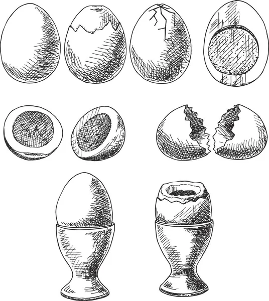 Huevo Aislado Sobre Fondo Blanco Boceto Conjunto Huevos Cocidos Medio — Archivo Imágenes Vectoriales