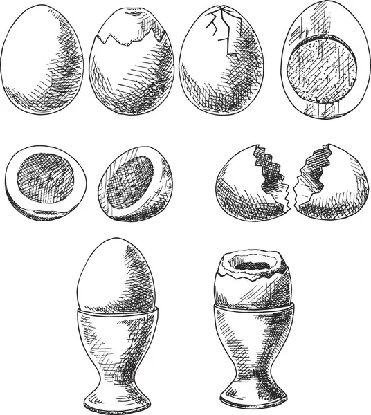 Ägg Isolerat Vit Bakgrund Skiss Set Kokta Halv Skivade Ägg — Stock vektor