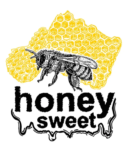 Bee Honey Logo Skiss Stil Vektor Illustration Isolerad Vit Bakgrund — Stock vektor