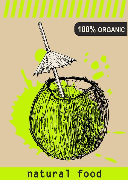 Modelo Design Coco Fresco Fruta Botânica Coco Gravado Ilustração Vetorial —  Vetores de Stock