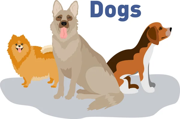 Coleção Cães Ilustração Vetorial Desenhos Animados Engraçados Diferentes Raças Cães —  Vetores de Stock