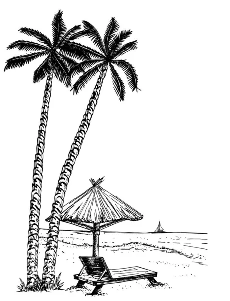 Landscape Beach Sketch Vector Illustration Seaside Promenade Palms Chaise Longue — Stock Vector