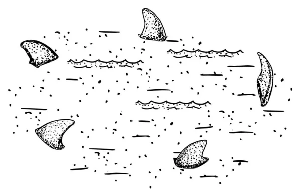 Vijf Haaienvinnen Steken Uit Het Water Haaienvinnen Die Uit Het — Stockvector