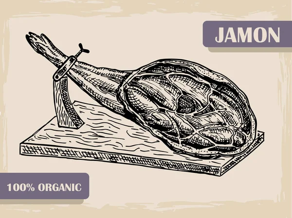 Vintage Jamon Schiţă Excelent Pentru Piață Restaurant Cafenea Grătar Design — Vector de stoc