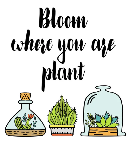 Blommar Där Planterad Bokstäver Citat Affisch Med Växter Kaktusar Krukor — Stock vektor