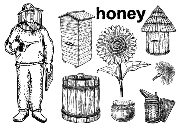 Zbiór Szkiców Wektorowych Miodu Pszczelarstwa Rysunki Ręczne Białym Tle Pszczół — Wektor stockowy