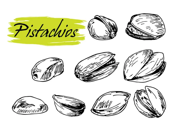 Pistacchio Set Schizzo Illustrazione Pistacchio Mano Noce Stile Retrò Oggetto — Vettoriale Stock