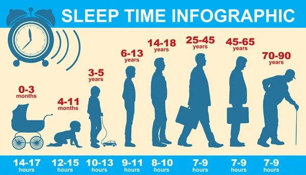 Alvás Ciklus Élet Mennyi Alvás Van Szüksége Info Grafikák Vektoros — Stock Vector