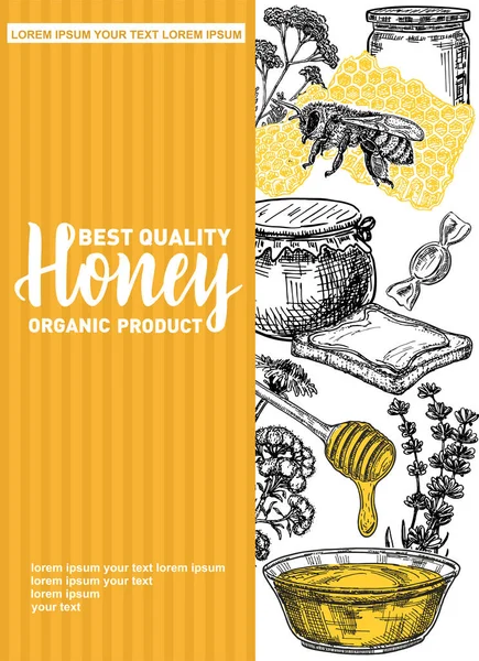 Vektor Handritade Honung Ram Detaljerade Graverade Illustrationer Grafisk Honeycomb Bee — Stock vektor